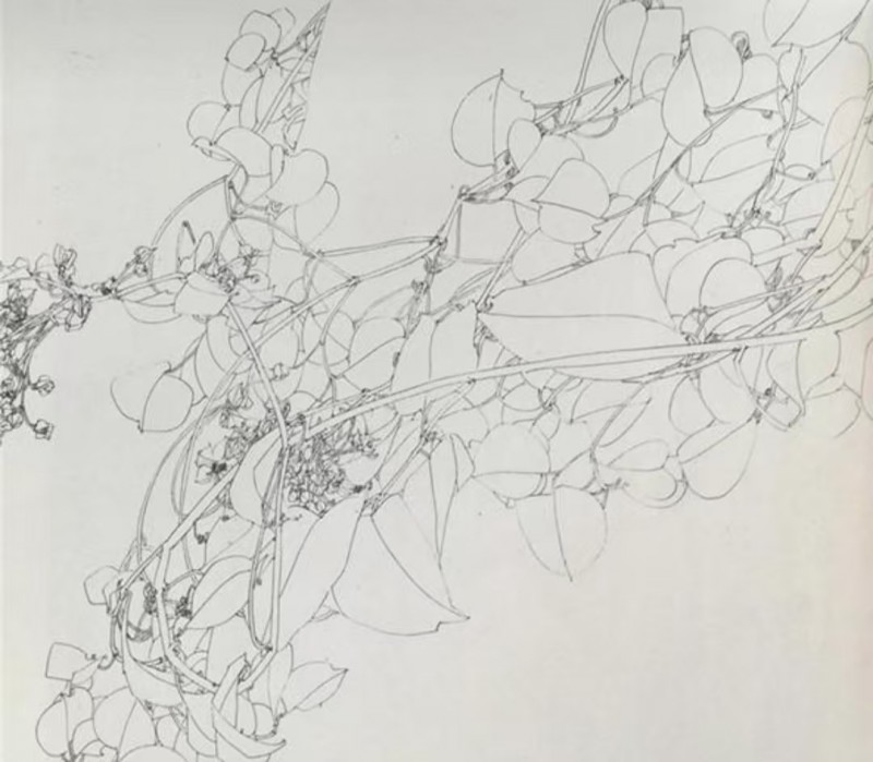 赣州市南康区书画家协会-中美协宋哓明作品欣赏